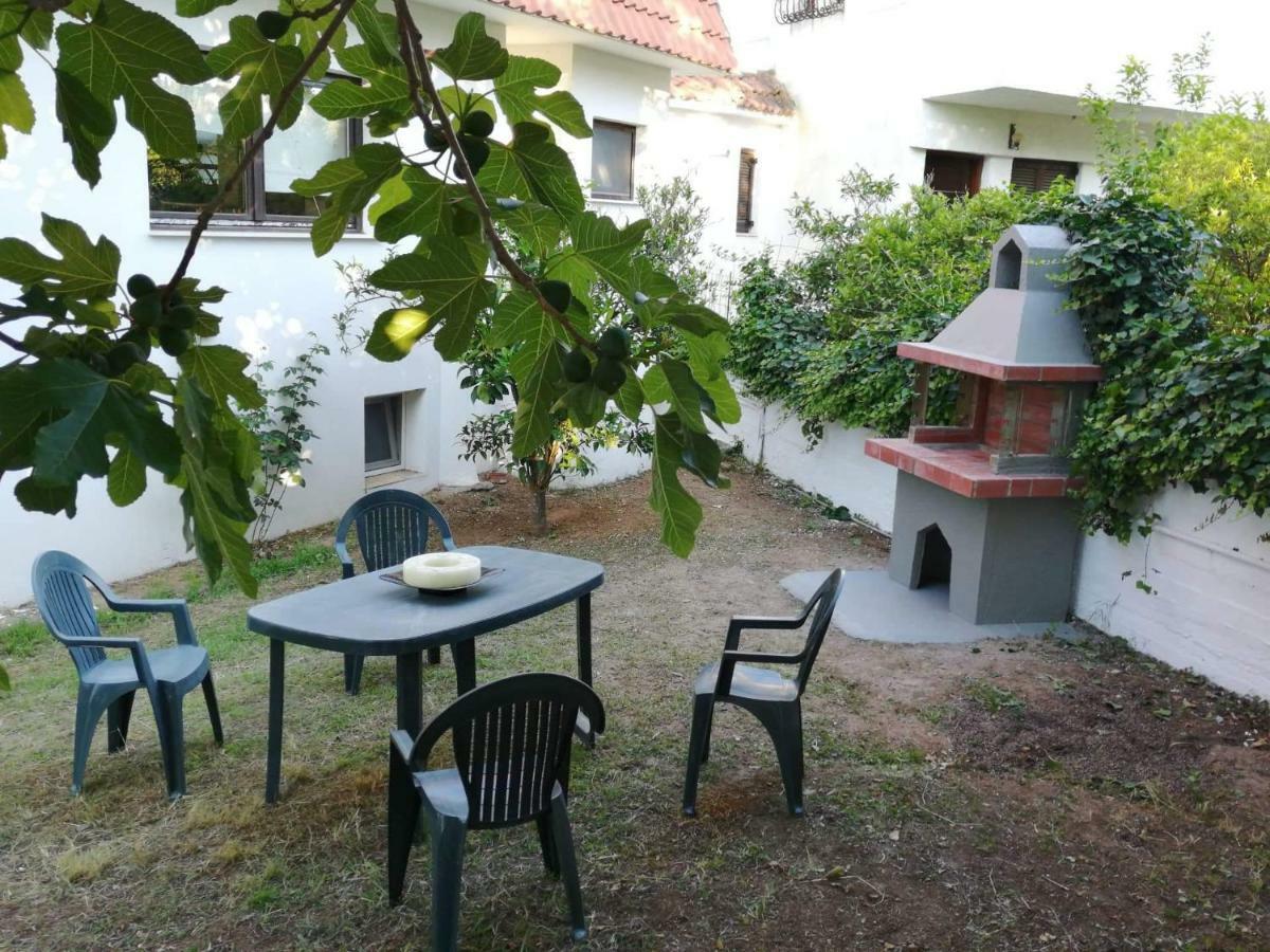 Seagull Villa Chalkidiki Пефкохорі Екстер'єр фото