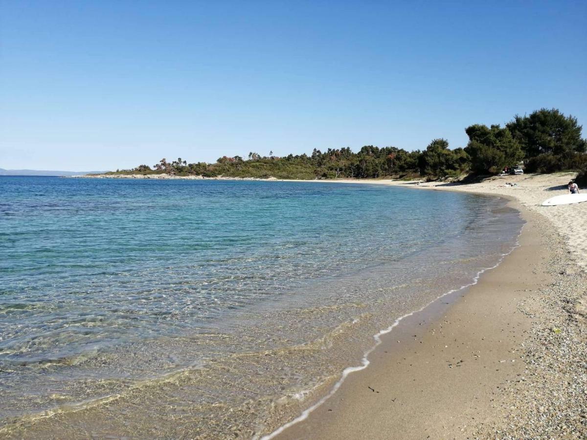 Seagull Villa Chalkidiki Пефкохорі Екстер'єр фото