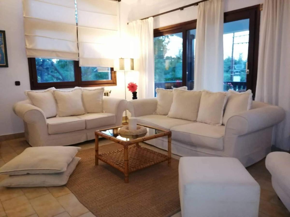 Seagull Villa Chalkidiki Пефкохорі Екстер'єр фото